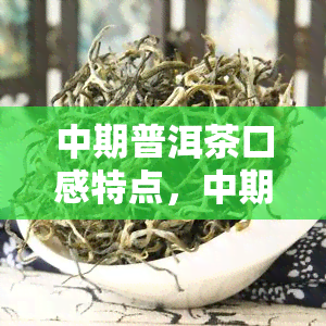 中期普洱茶口感特点，中期普洱茶：醇厚回，滋味独特