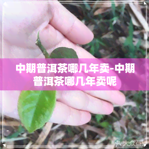 中期普洱茶哪几年卖-中期普洱茶哪几年卖呢