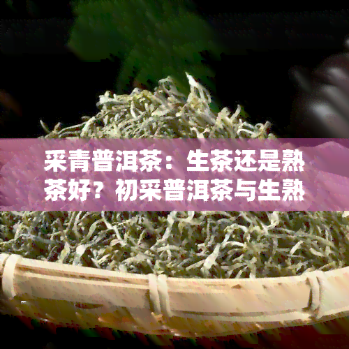 采青普洱茶：生茶还是熟茶好？初采普洱茶与生熟茶的区别与选择