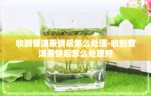 收到普洱茶饼后怎么处理-收到普洱茶饼后怎么处理好