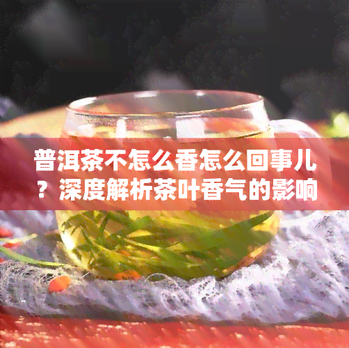 普洱茶不怎么香怎么回事儿？深度解析茶叶香气的影响因素