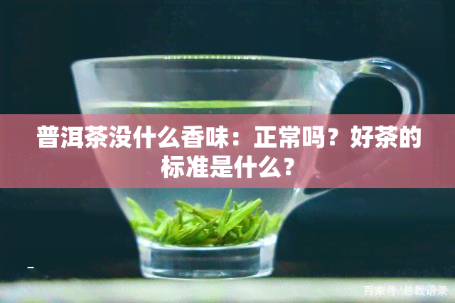 普洱茶没什么香味：正常吗？好茶的标准是什么？