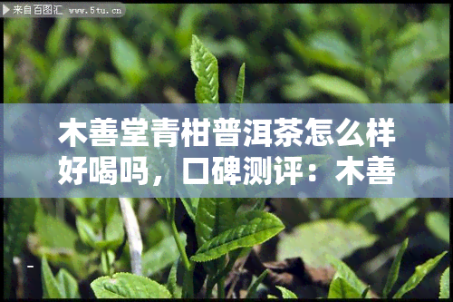 木善堂青柑普洱茶怎么样好喝吗，口碑测评：木善堂青柑普洱茶，口感如何？值得一试吗？