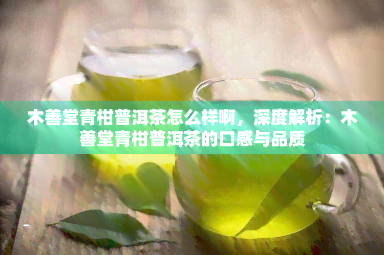 木善堂青柑普洱茶怎么样啊，深度解析：木善堂青柑普洱茶的口感与品质