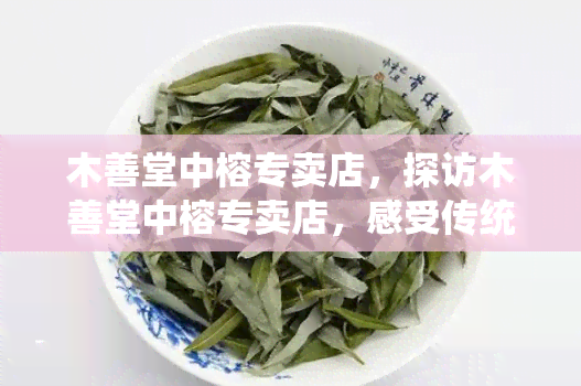 木善堂中榕专卖店，探访木善堂中榕专卖店，感受传统文化与现代科技的完美融合