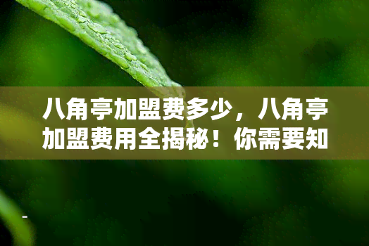 八角亭加盟费多少，八角亭加盟费用全揭秘！你需要知道的都在这里！