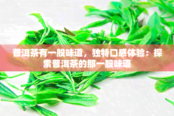 普洱茶有一股味道，独特口感体验：探索普洱茶的那一股味道