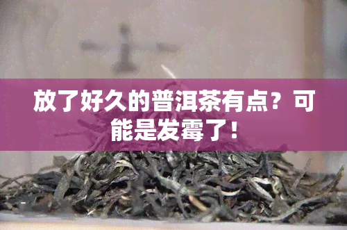 放了好久的普洱茶有点？可能是发霉了！