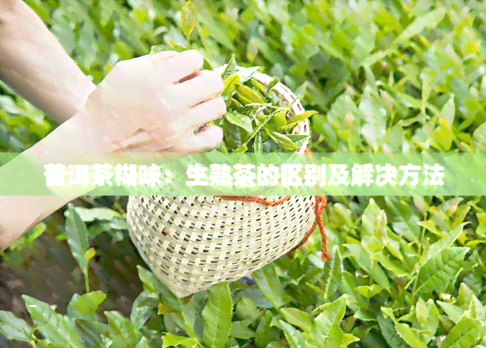 普洱茶糊味：生熟茶的区别及解决方法