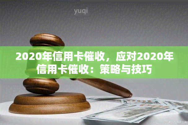 2020年信用卡，应对2020年信用卡：策略与技巧