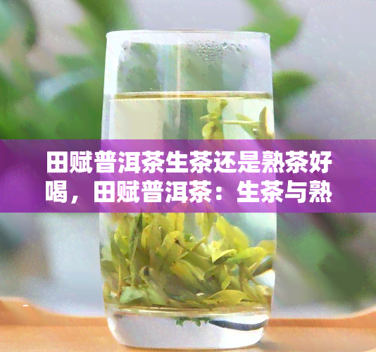 田赋普洱茶生茶还是熟茶好喝，田赋普洱茶：生茶与熟茶的口感对比，哪一种更胜一筹？