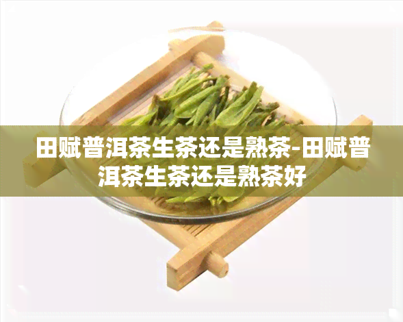 田赋普洱茶生茶还是熟茶-田赋普洱茶生茶还是熟茶好