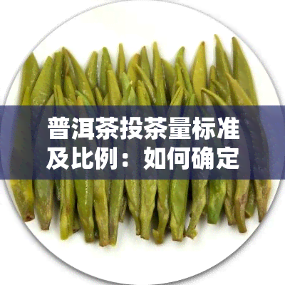 普洱茶投茶量标准及比例：如何确定合适的茶叶用量？