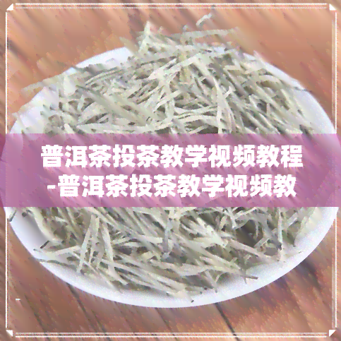 普洱茶投茶教学视频教程-普洱茶投茶教学视频教程全集