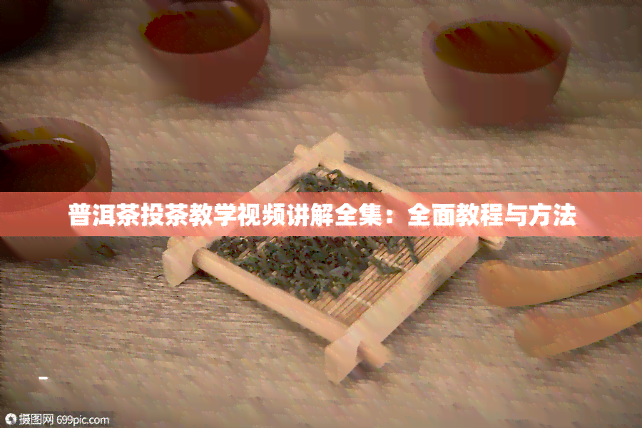 普洱茶投茶教学视频讲解全集：全面教程与方法