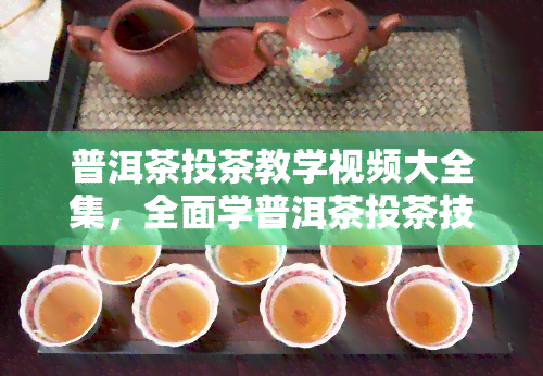 普洱茶投茶教学视频大全集，全面学普洱茶投茶技巧：视频教程大全集