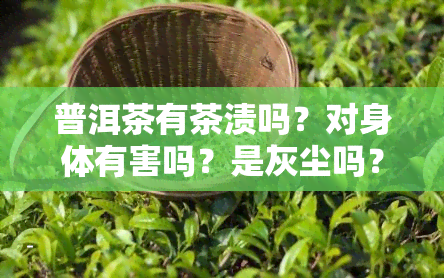 普洱茶有茶渍吗？对身体有害吗？是灰尘吗？