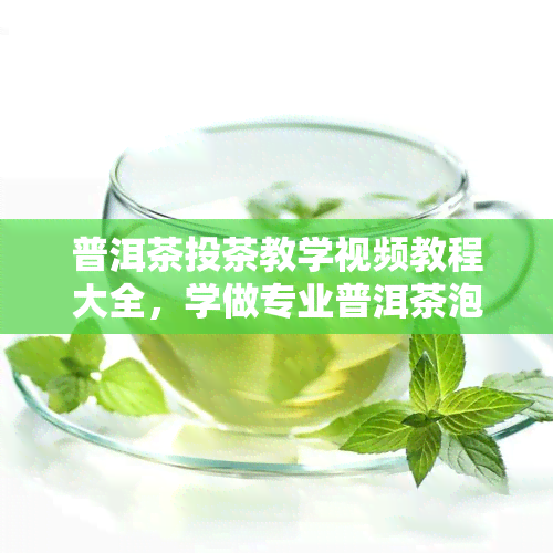 普洱茶投茶教学视频教程大全，学做专业普洱茶泡法：全面投茶教学视频教程