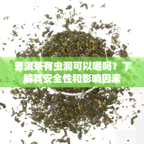 普洱茶有虫洞可以喝吗？了解其安全性和影响因素