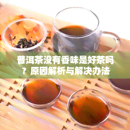 普洱茶没有香味是好茶吗？原因解析与解决办法