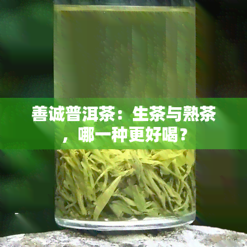 善诚普洱茶：生茶与熟茶，哪一种更好喝？