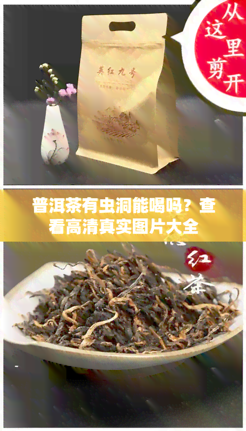 普洱茶有虫洞能喝吗？查看高 *** 实图片大全