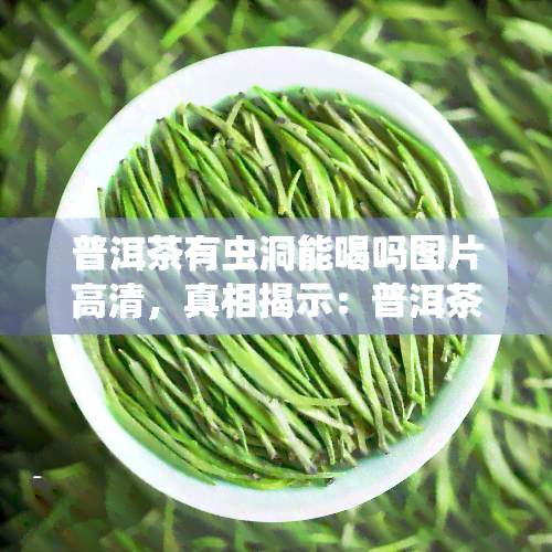 普洱茶有虫洞能喝吗图片高清，真相揭示：普洱茶上的虫洞是否影响饮用？高清图解解析