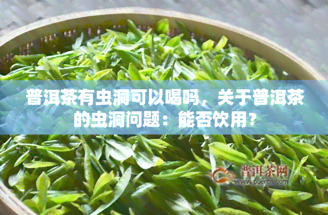 普洱茶有虫洞可以喝吗，关于普洱茶的虫洞问题：能否饮用？