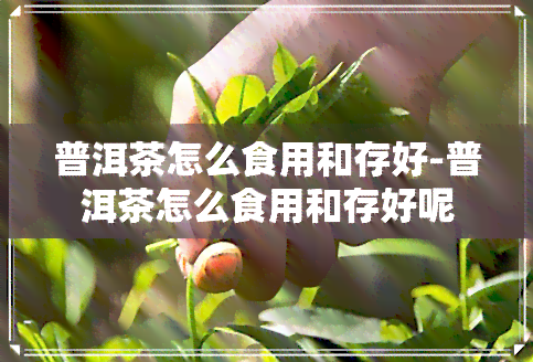 普洱茶怎么食用和存好-普洱茶怎么食用和存好呢