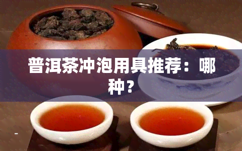 普洱茶冲泡用具推荐：哪种？