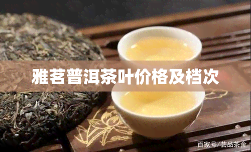 雅茗普洱茶叶价格及档次