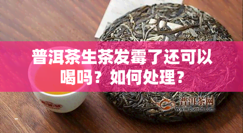 普洱茶生茶发霉了还可以喝吗？如何处理？