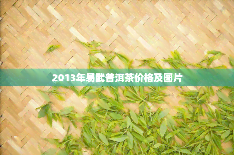 2013年易武普洱茶价格及图片