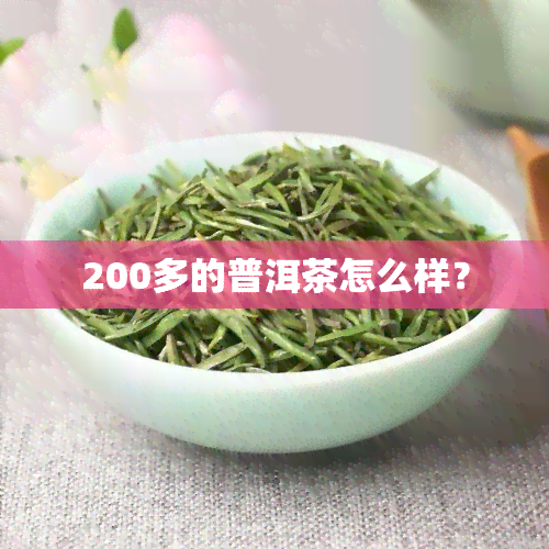 200多的普洱茶怎么样？