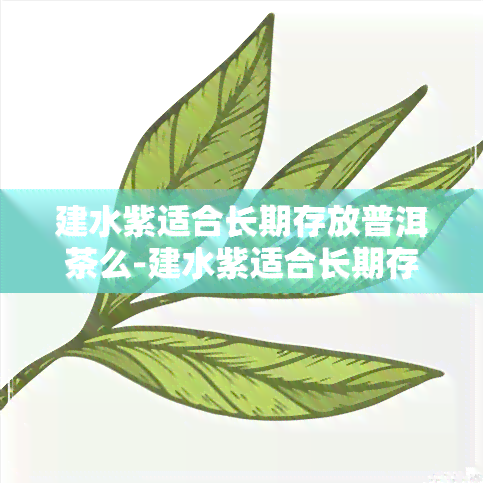 建水紫适合长期存放普洱茶么-建水紫适合长期存放普洱茶么吗