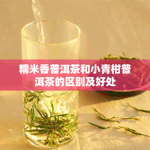 糯米香普洱茶和小青柑普洱茶的区别及好处