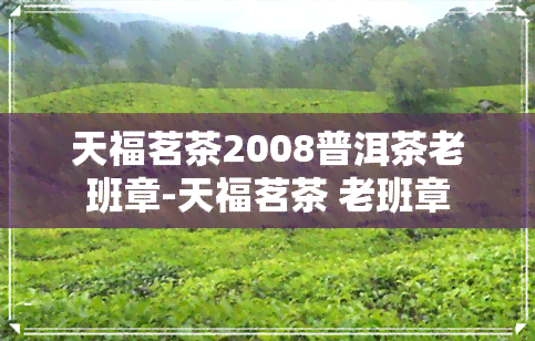 天福茗茶2008普洱茶老班章-天福茗茶 老班章