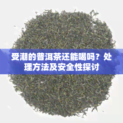 受潮的普洱茶还能喝吗？处理方法及安全性探讨