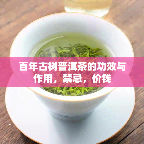 百年古树普洱茶的功效与作用，禁忌，价钱