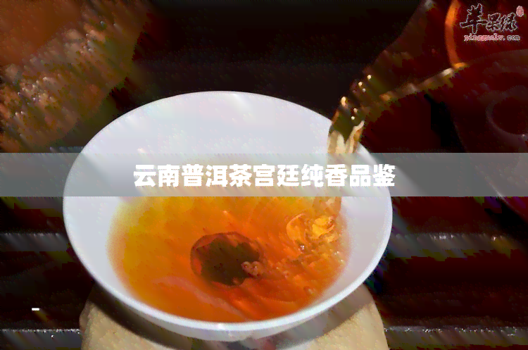 云南普洱茶宫廷纯香品鉴