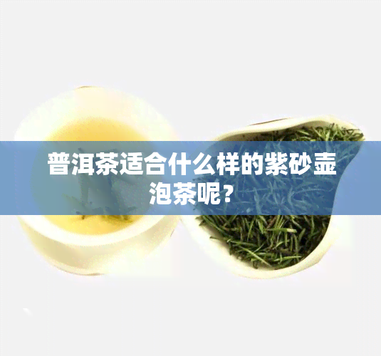 普洱茶适合什么样的紫砂壶泡茶呢？