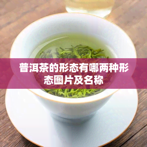 普洱茶的形态有哪两种形态图片及名称