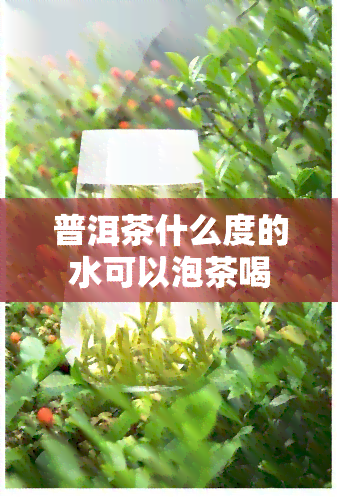 普洱茶什么度的水可以泡茶喝