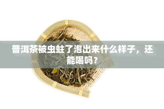 普洱茶被虫蛀了泡出来什么样子，还能喝吗？