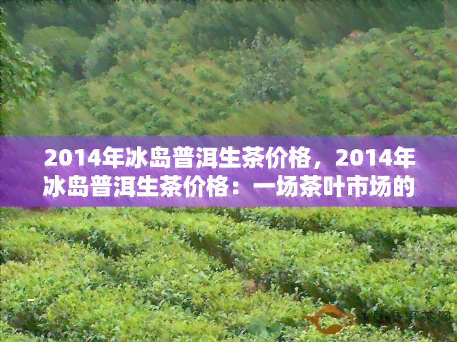 2014年冰岛普洱生茶价格，2014年冰岛普洱生茶价格：一场茶叶市场的时光旅行