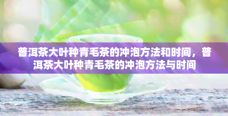 普洱茶大叶种青毛茶的冲泡方法和时间，普洱茶大叶种青毛茶的冲泡方法与时间