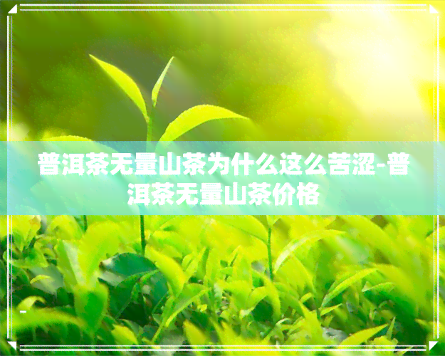 普洱茶无量山茶为什么这么苦涩-普洱茶无量山茶价格