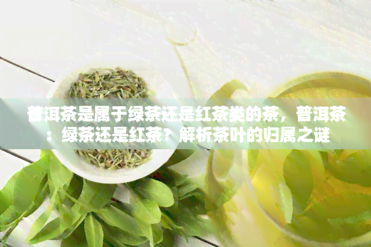 普洱茶是属于绿茶还是红茶类的茶，普洱茶：绿茶还是红茶？解析茶叶的归属之谜