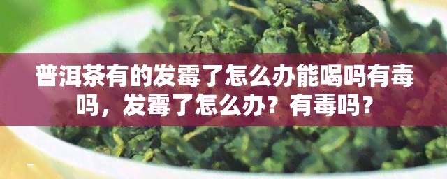 普洱茶有的发霉了怎么办能喝吗有吗，发霉了怎么办？有吗？