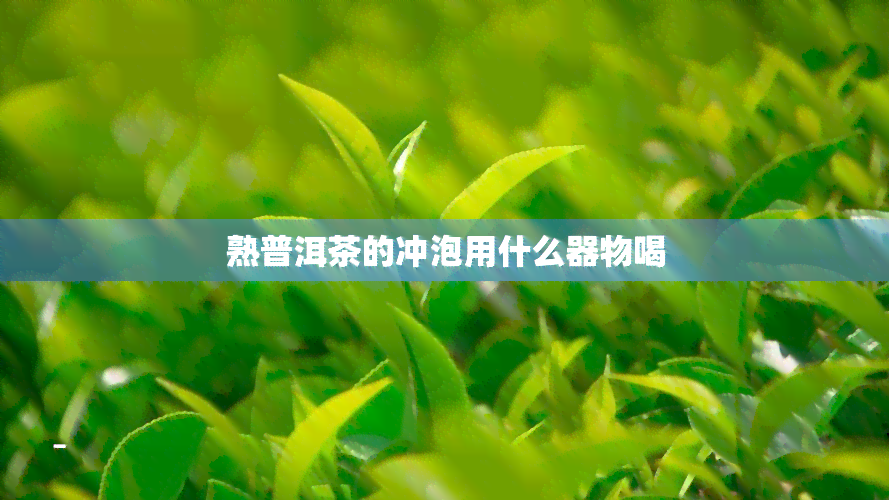 熟普洱茶的冲泡用什么器物喝